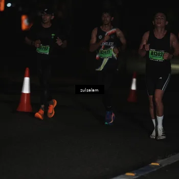 Runner Photo 5285842