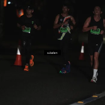 Runner Photo 5285851