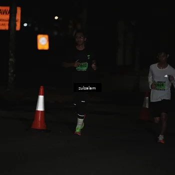 Runner Photo 5285867