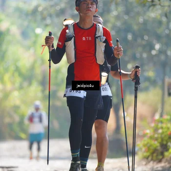 Runner Photo 5286192