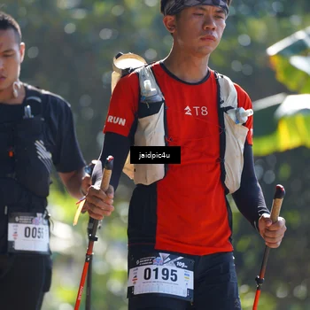 Runner Photo 5286202
