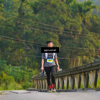 Runner Photo 5286211