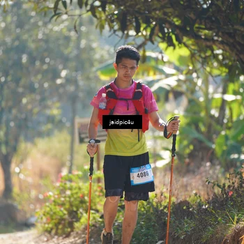 Runner Photo 5286294