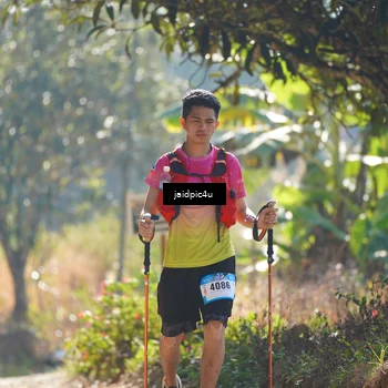 Runner Photo 5286298