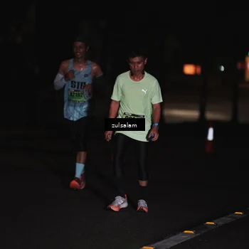 Runner Photo 5286433