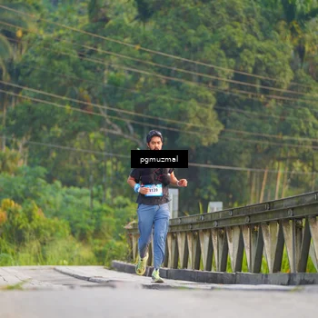 Runner Photo 5286447