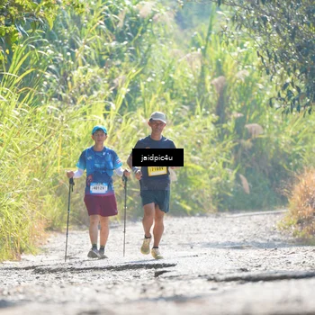 Runner Photo 5286481