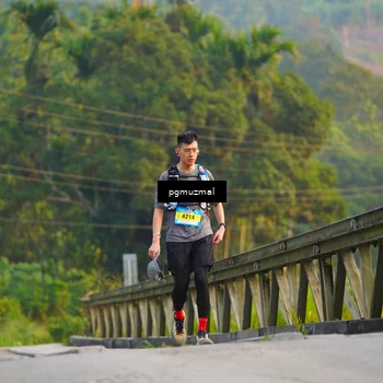 Runner Photo 5286536