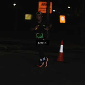 Runner Photo 5286721