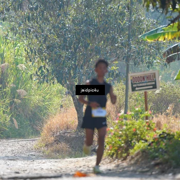 Runner Photo 5286731