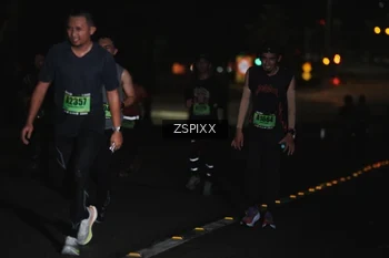 Runner Photo 5286753
