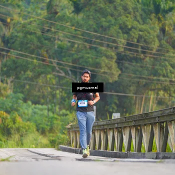 Runner Photo 5286833