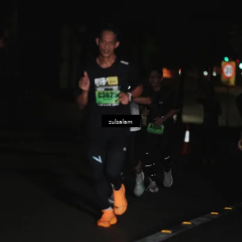 Runner Photo 5286987