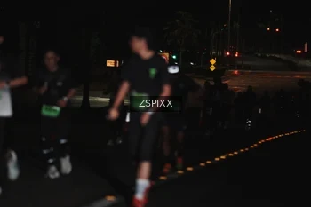 Runner Photo 5287005