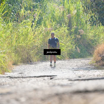 Runner Photo 5287036