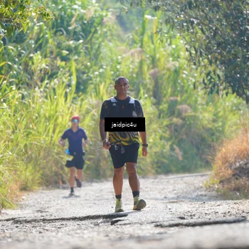 Runner Photo 5287069
