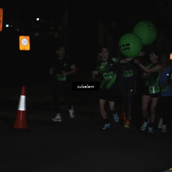 Runner Photo 5287106