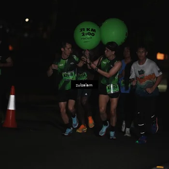 Runner Photo 5287122
