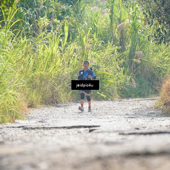 Runner Photo 5287282