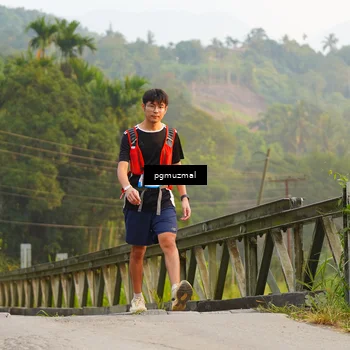 Runner Photo 5287571