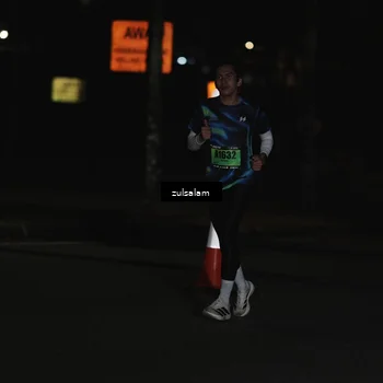 Runner Photo 5287582