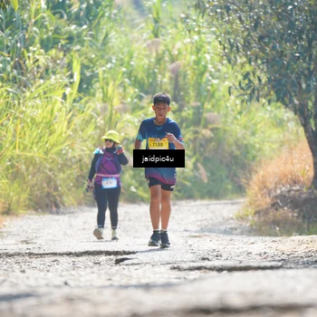 Runner Photo 5287731