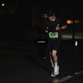Runner Photo 5287746
