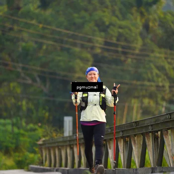 Runner Photo 5287752