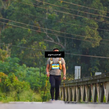 Runner Photo 5287837