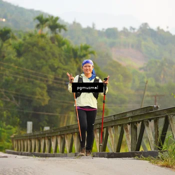 Runner Photo 5287846