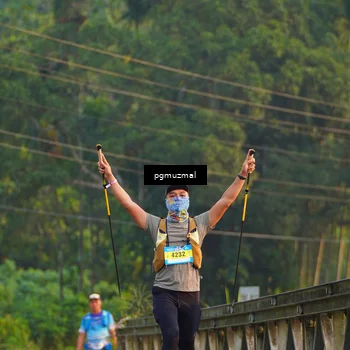 Runner Photo 5287879