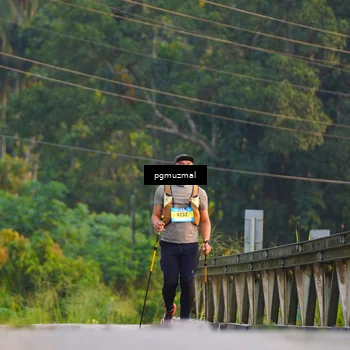 Runner Photo 5287903