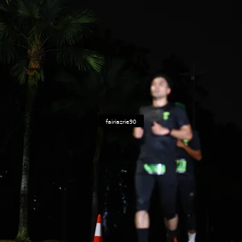 Runner Photo 5287907