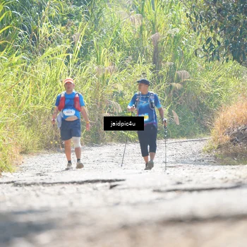 Runner Photo 5288108