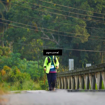 Runner Photo 5288120