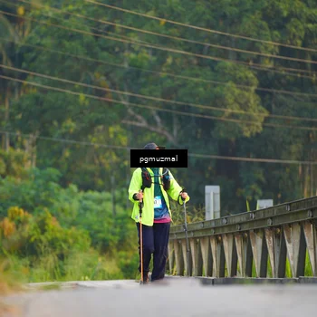 Runner Photo 5288259