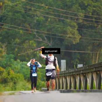 Runner Photo 5288361