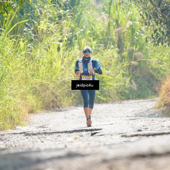 Runner Photo 5288391