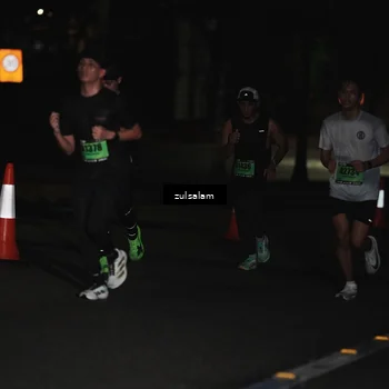 Runner Photo 5288413
