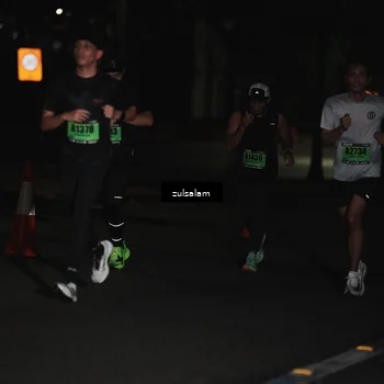 Runner Photo 5288419