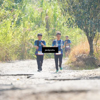 Runner Photo 5288424