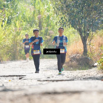 Runner Photo 5288425