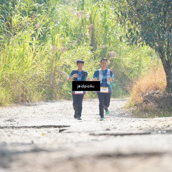 Runner Photo 5288462