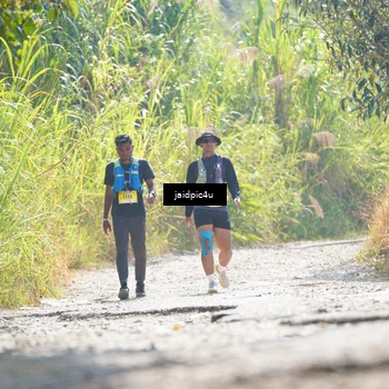 Runner Photo 5288478
