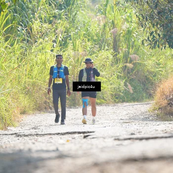 Runner Photo 5288481