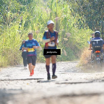 Runner Photo 5288547