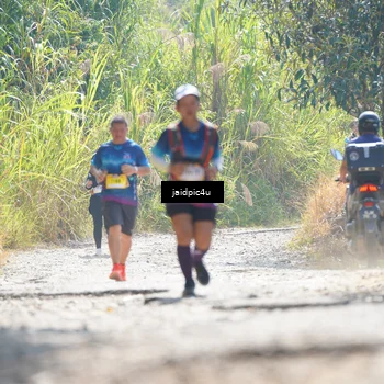 Runner Photo 5288559