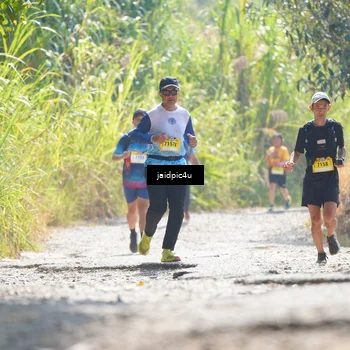 Runner Photo 5288713