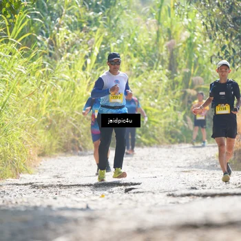 Runner Photo 5288720