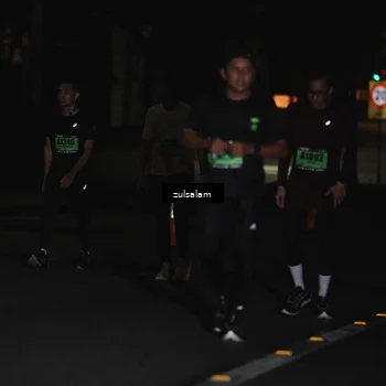 Runner Photo 5288724